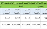 سياسات حافة الهاوية .. أردوغان ومستقبل النظام التركي