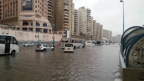 استطلاع رأي: تطوير