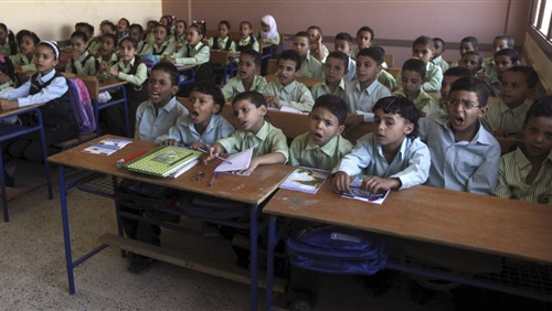الأمية .. وأزمة الدولة