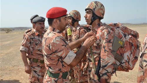 دوافع استراتيجية